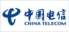 中国电信集团公司